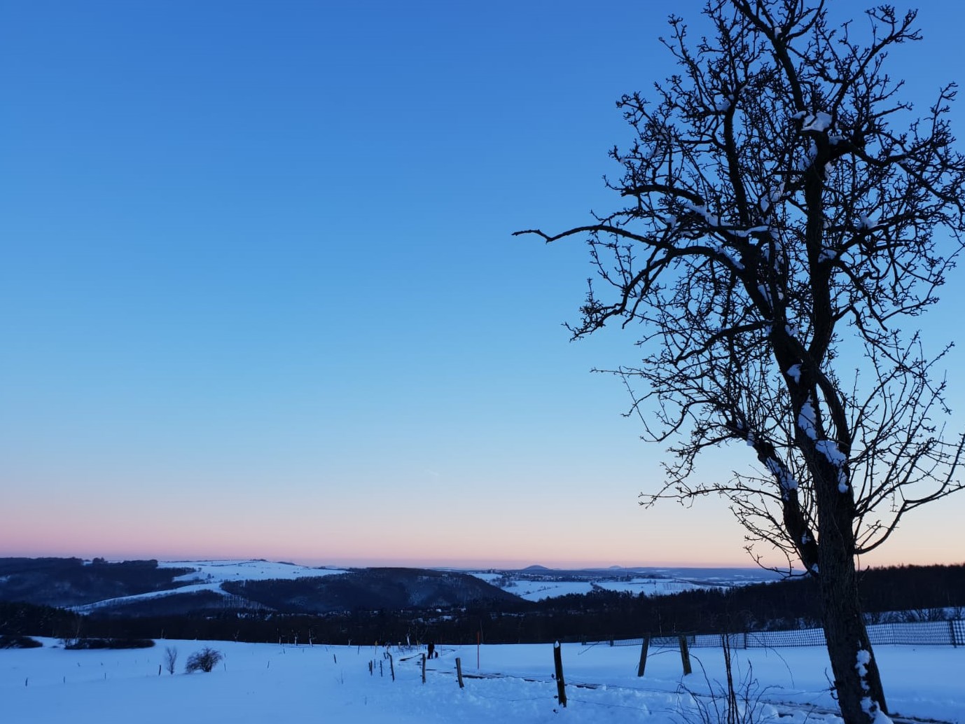 IMG-20190204-WA0003 (2)